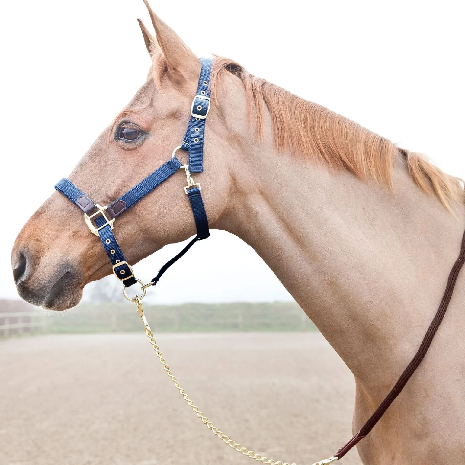 Horze Holbrook kjettingleietau