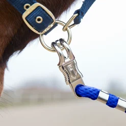 Horze leietau, panikkrok