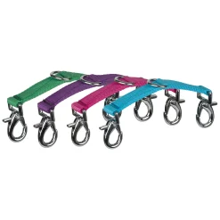 Horze longeringsdelta