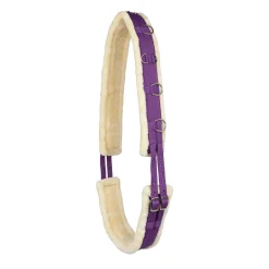 Horze longeringsgjord