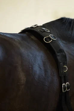 Horze longeringsgjord i nylon