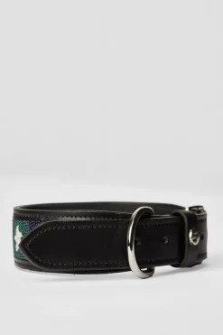 Horze Noir halsbånd til hund, med stjerner