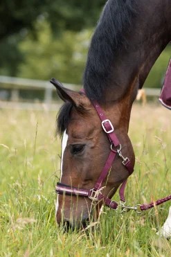 Horze Physical Sophistication grime, sett