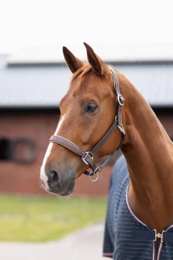 Horze Physical Sophistication lærgrime