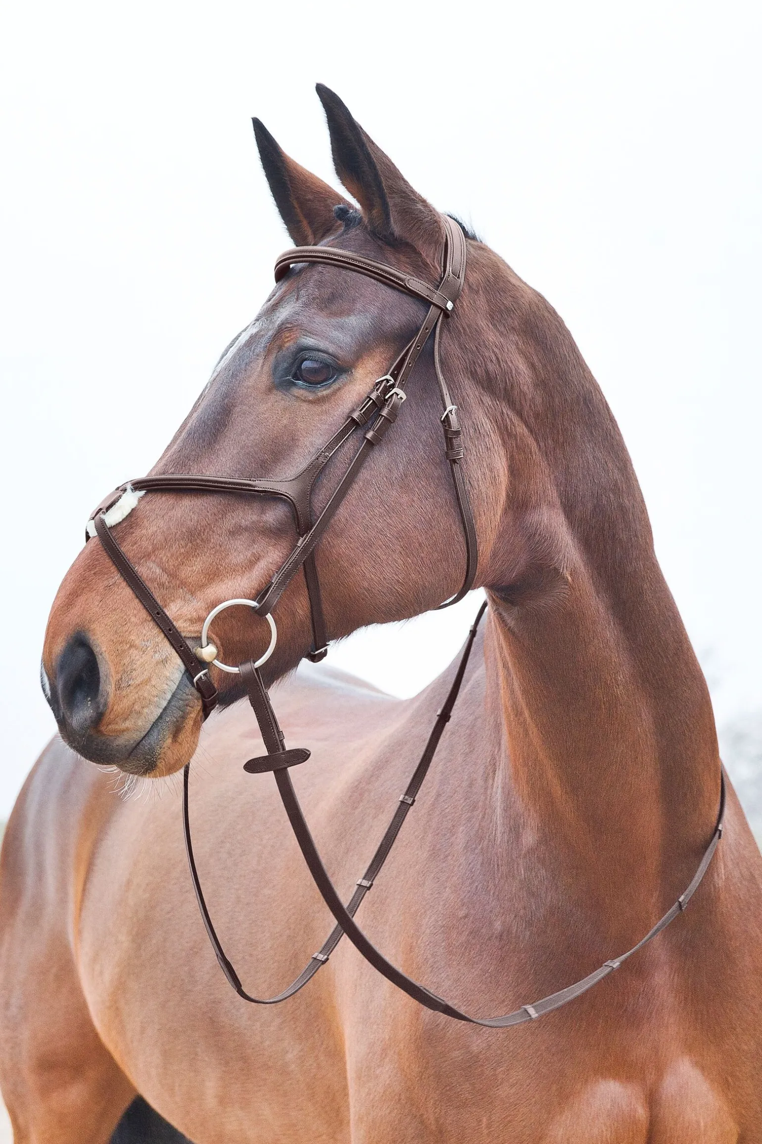 Horze Prescott hodelag med kryssnesereim