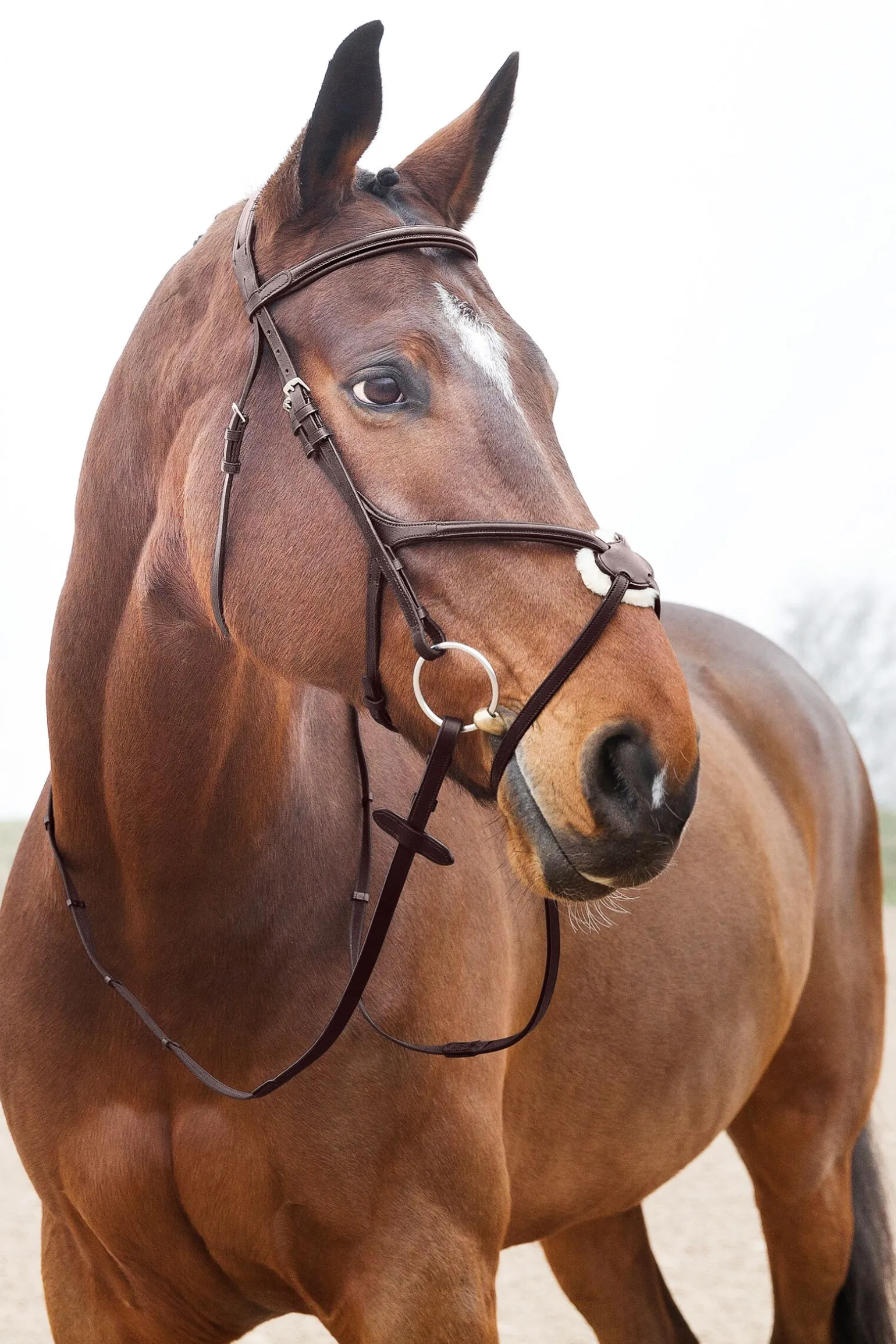 Horze Prescott hodelag med kryssnesereim