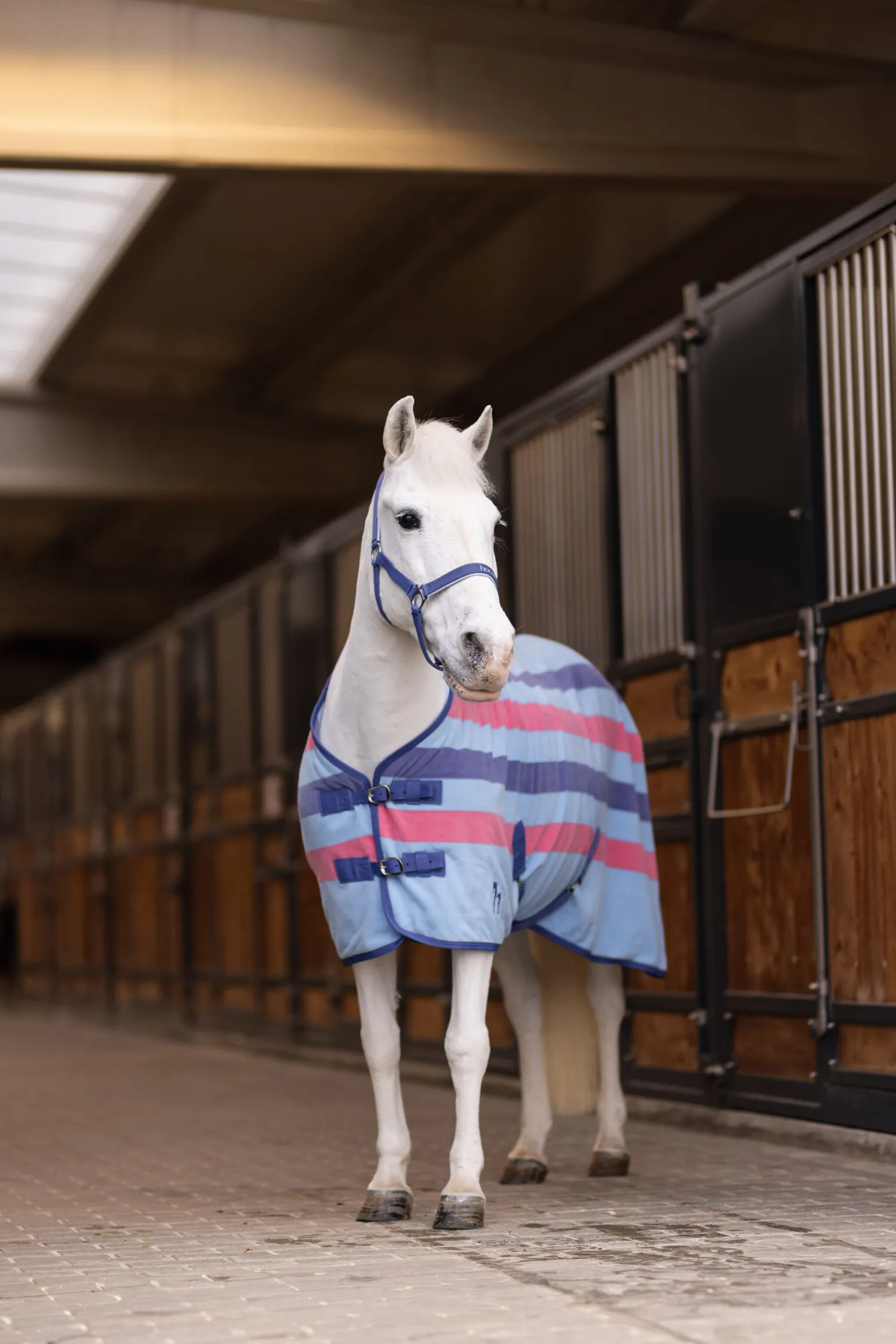 Horze Rising Star fleece cooler