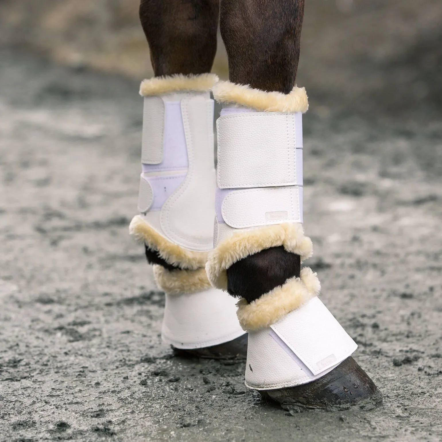 Horze Signature kopper