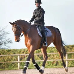 Horze Signature stryksokker