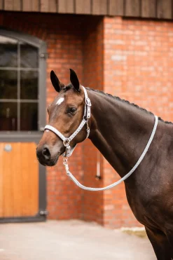 Horze Victoria grime