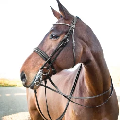 Horze Vienna anatomisk kandarhodelag