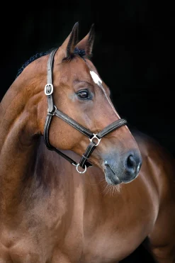 Horze Warren myk lærgrime