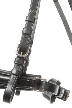 Kavalkade Ayana KavalSH4 Bridle