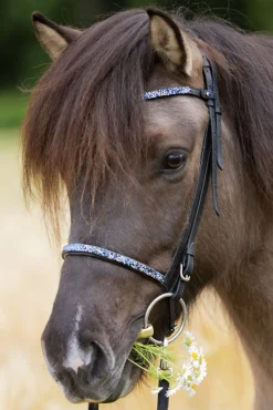Kavalkade Blár Combined Noseband for Kjartan Icelandic Bridle