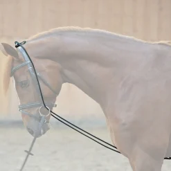 Kavalkade Bungie, elastisk