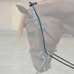 Kavalkade Bungie, elastisk