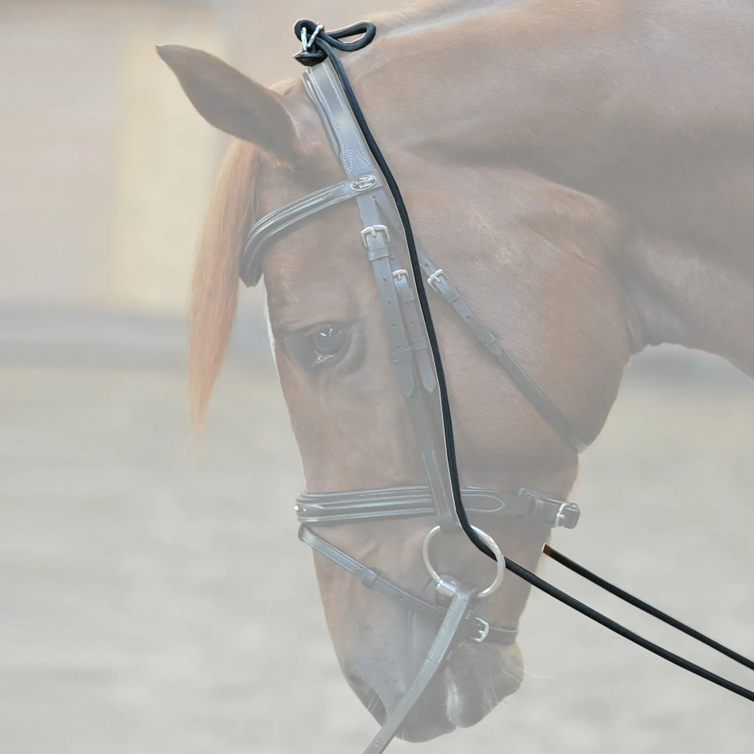 Kavalkade Bungie, elastisk