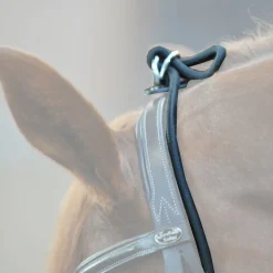 Kavalkade Bungie, elastisk