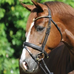 Kavalkade Clinchesse Bridle