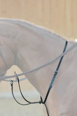 Kavalkade Ecoline martingal med stoppere