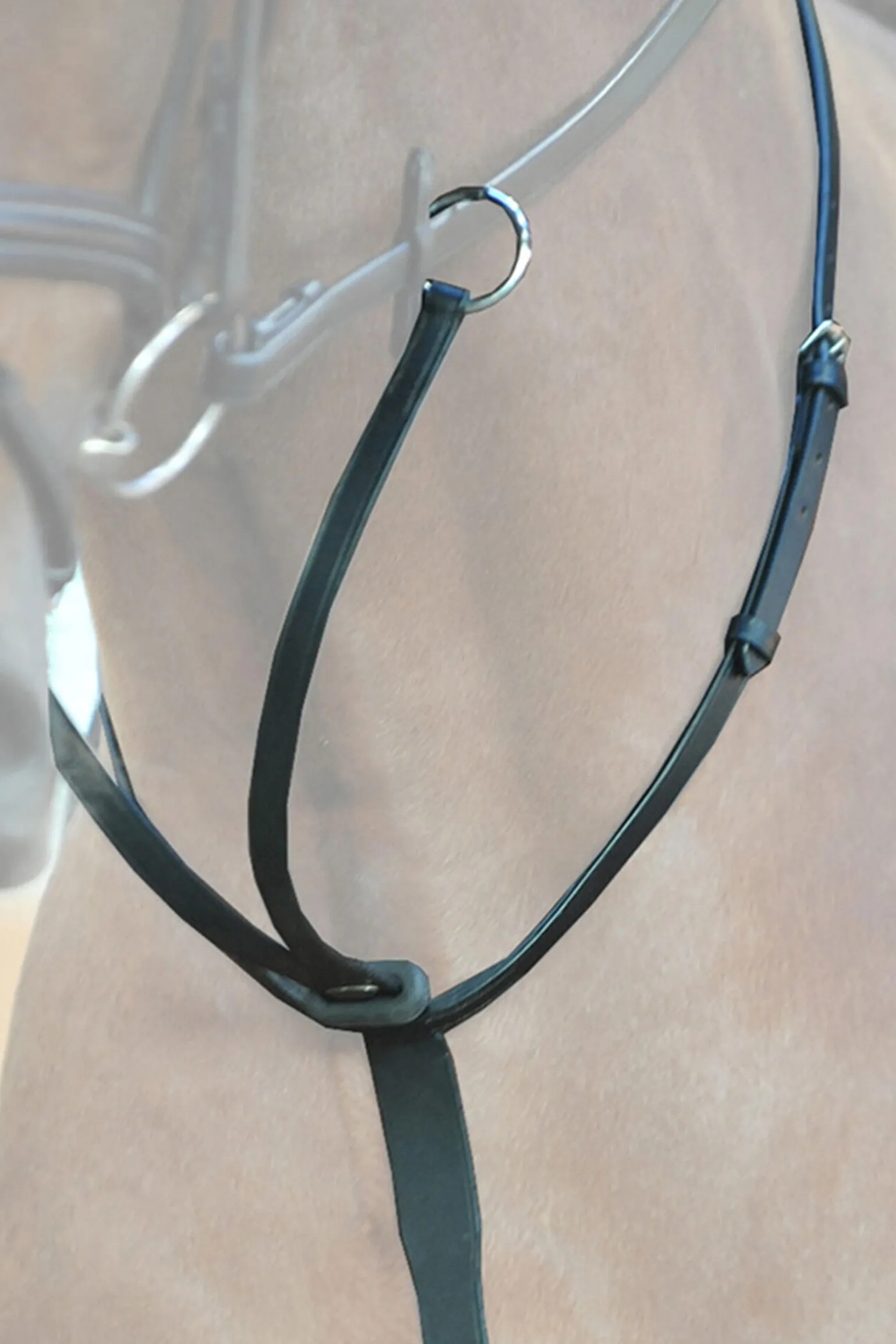 Kavalkade Ecoline martingal med stoppere