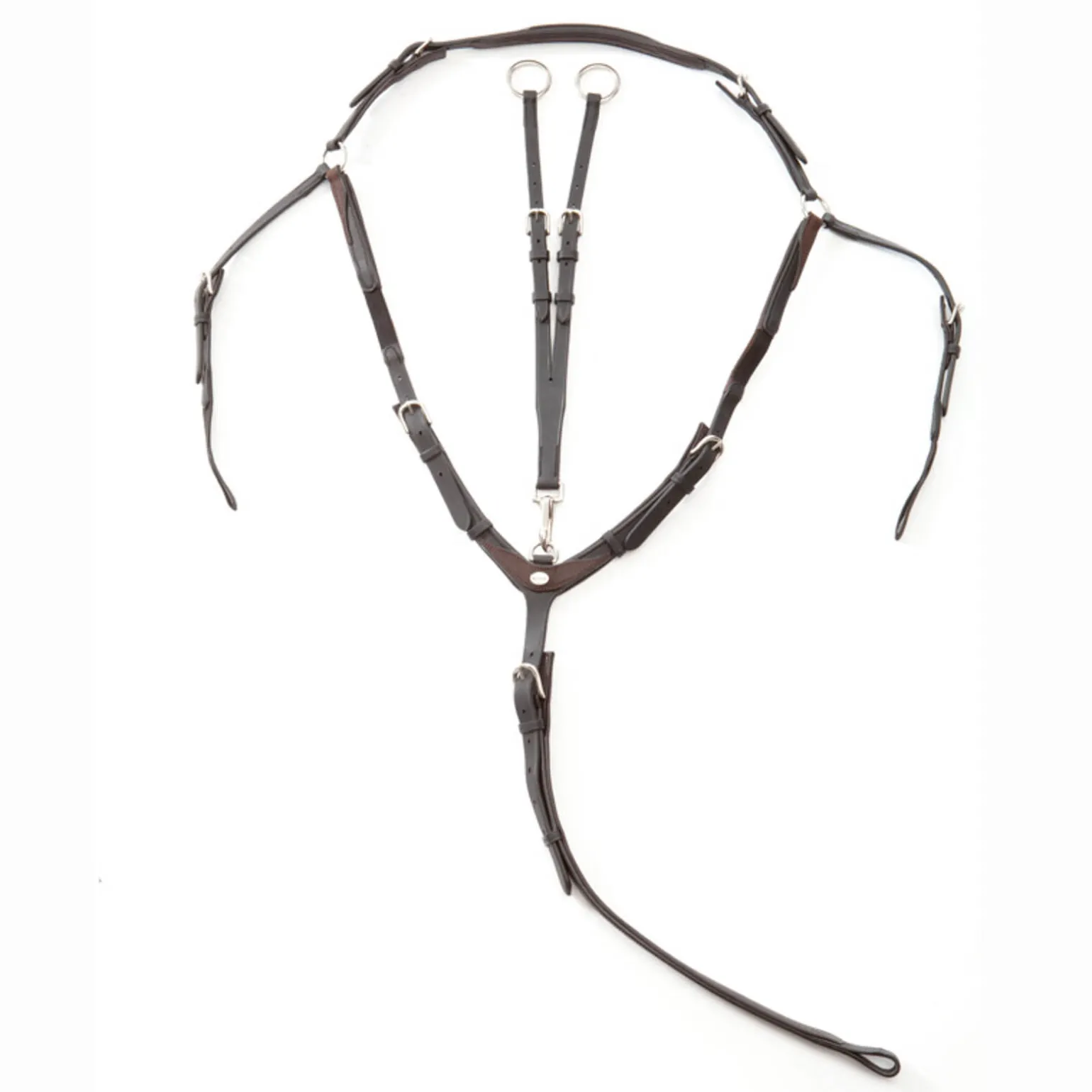 Kavalkade EveryDay fortøy