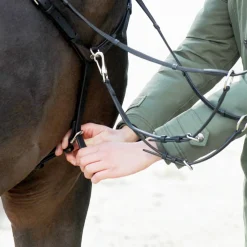 Kavalkade EveryDay fortøy