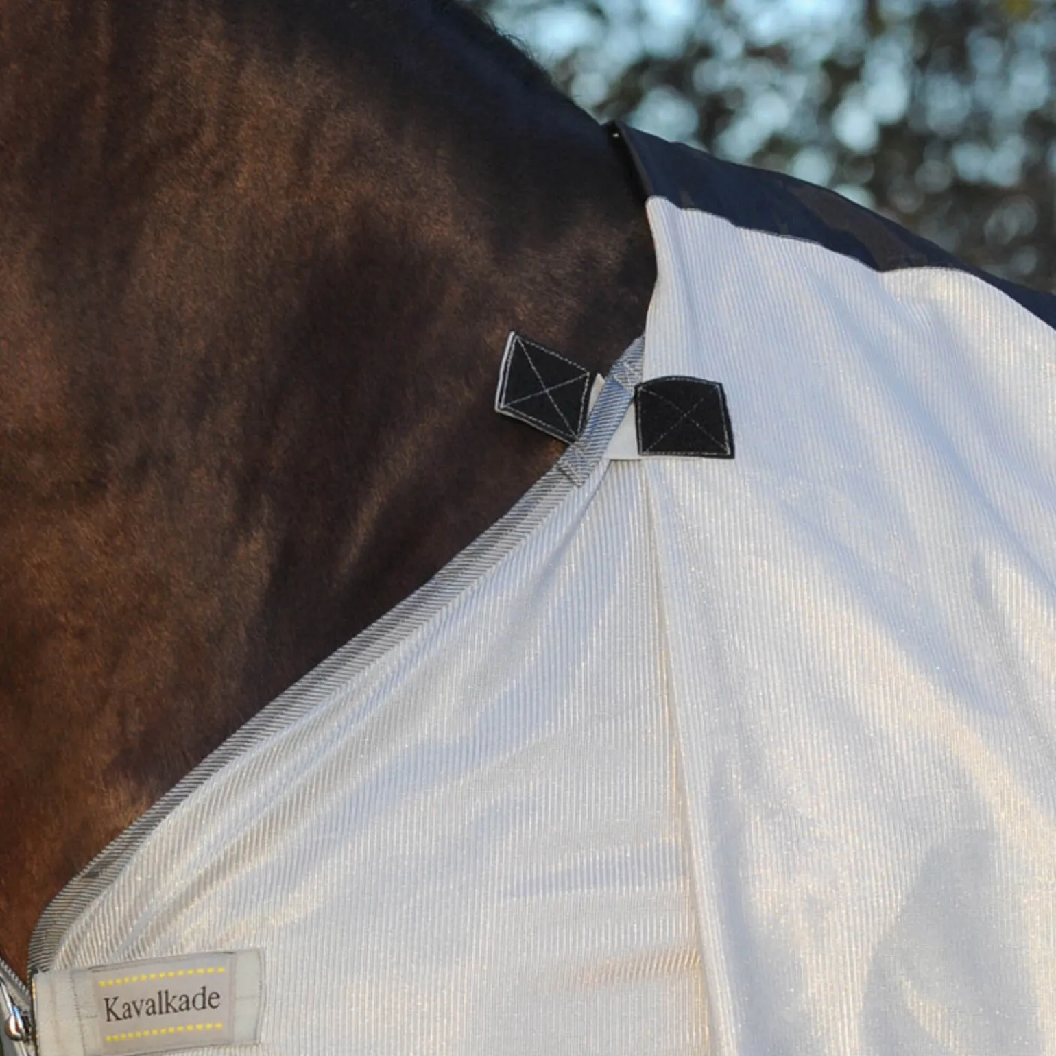 Kavalkade fluedekken med avtakbar hals