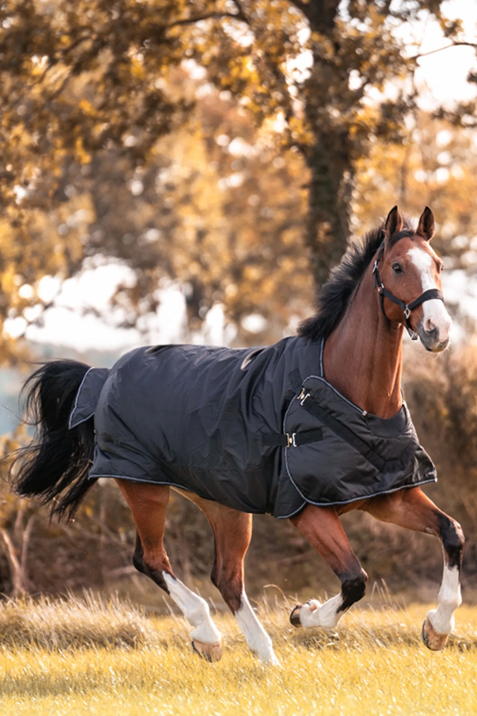 Kavalkade Halifax 2-i-1 Utedekken og Walker-dekken 200g