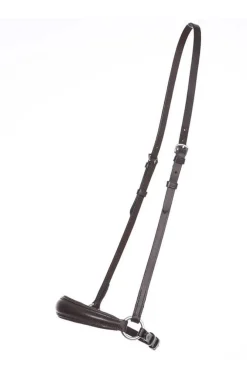 Kavalkade hanoveransk nesereim