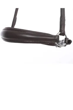 Kavalkade hanoveransk nesereim