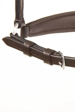 Kavalkade hanoveransk nesereim