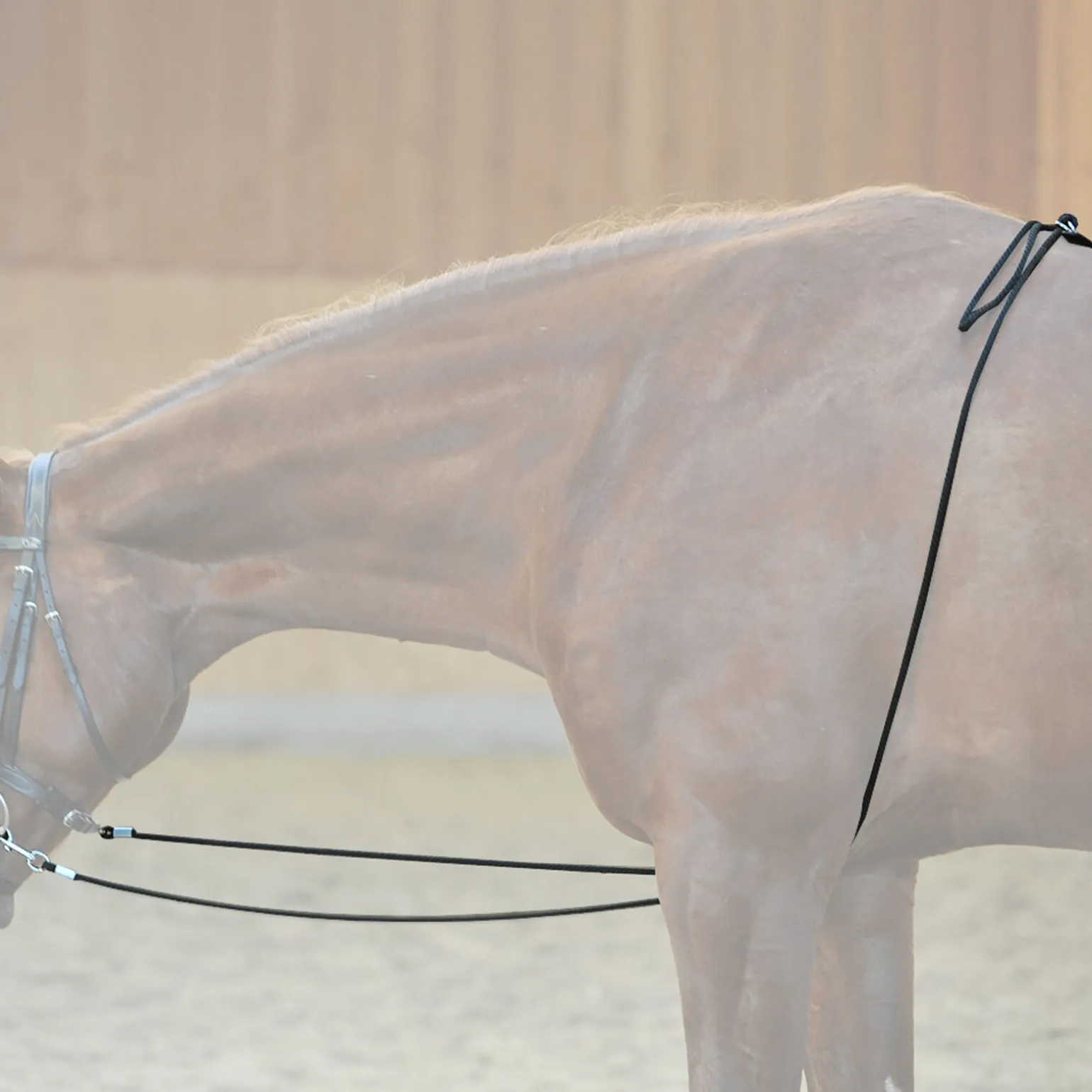 Kavalkade HO longesystem