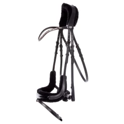 Kavalkade Ivella KavalSh4 hodelag