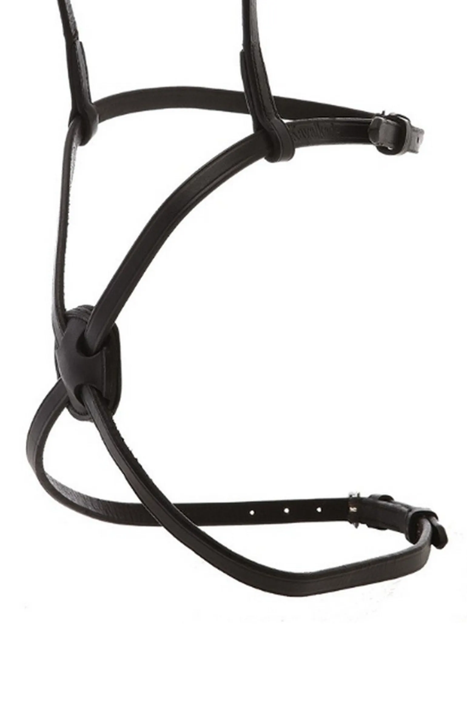 Kavalkade kryssnesereim