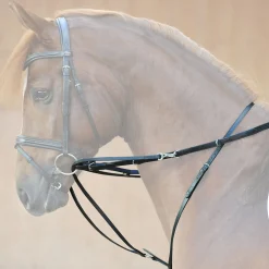 Kavalkade Market Harborough martingal