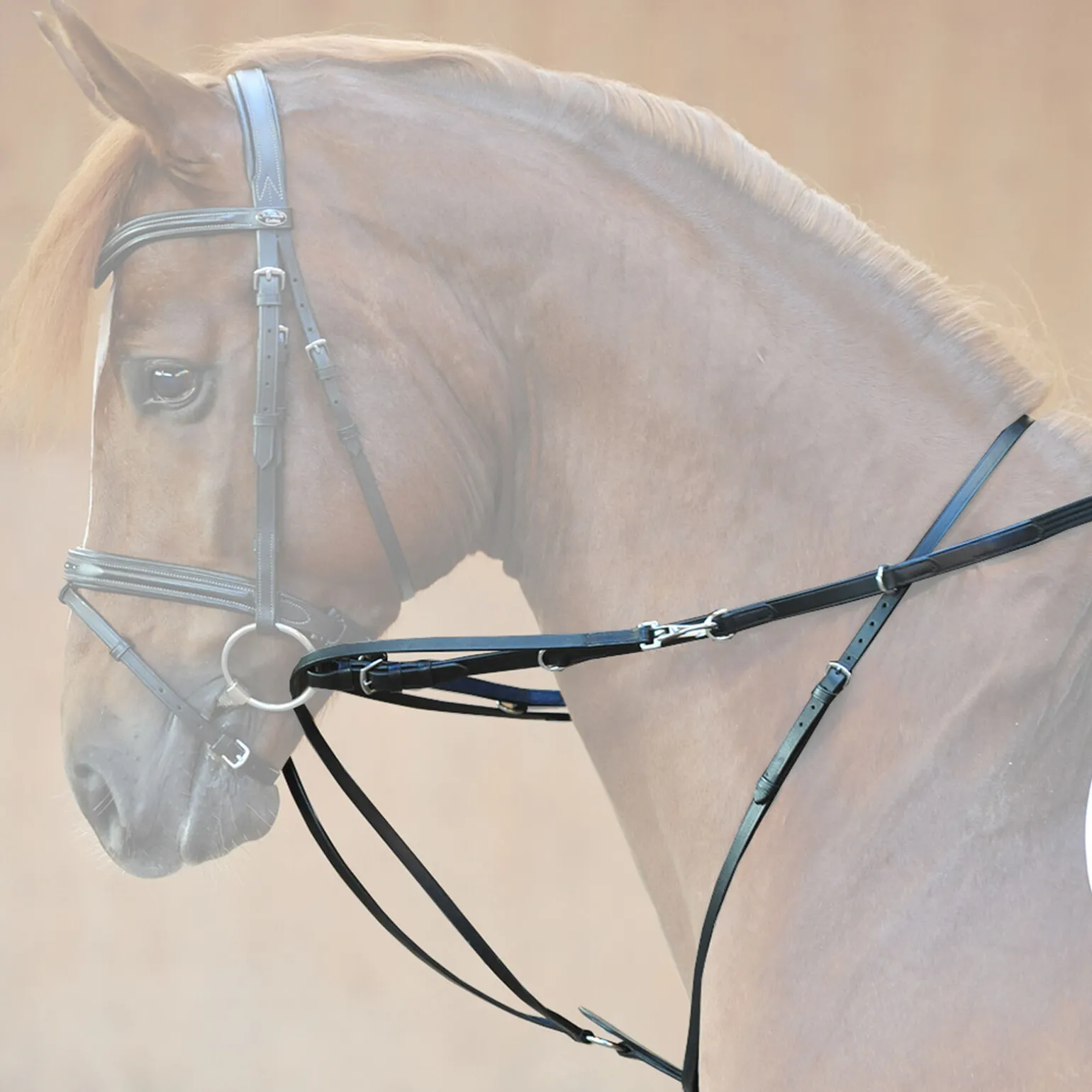 Kavalkade Market Harborough martingal