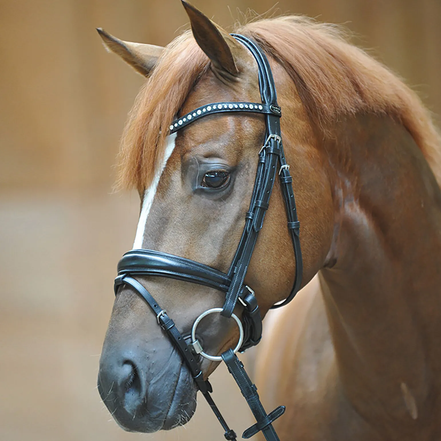 Kavalkade Mia hodelag med pullback nesereim og flash-reim