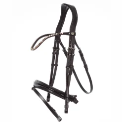 Kavalkade Reyna KavalSH4 hodelag