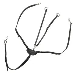 Kavalkade V-formet fortøy