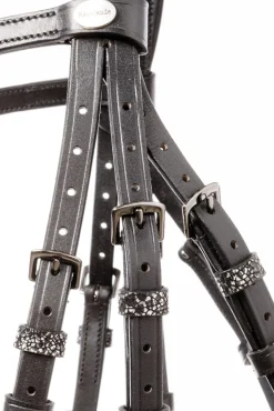 Kavalkade Victoria Hodelag