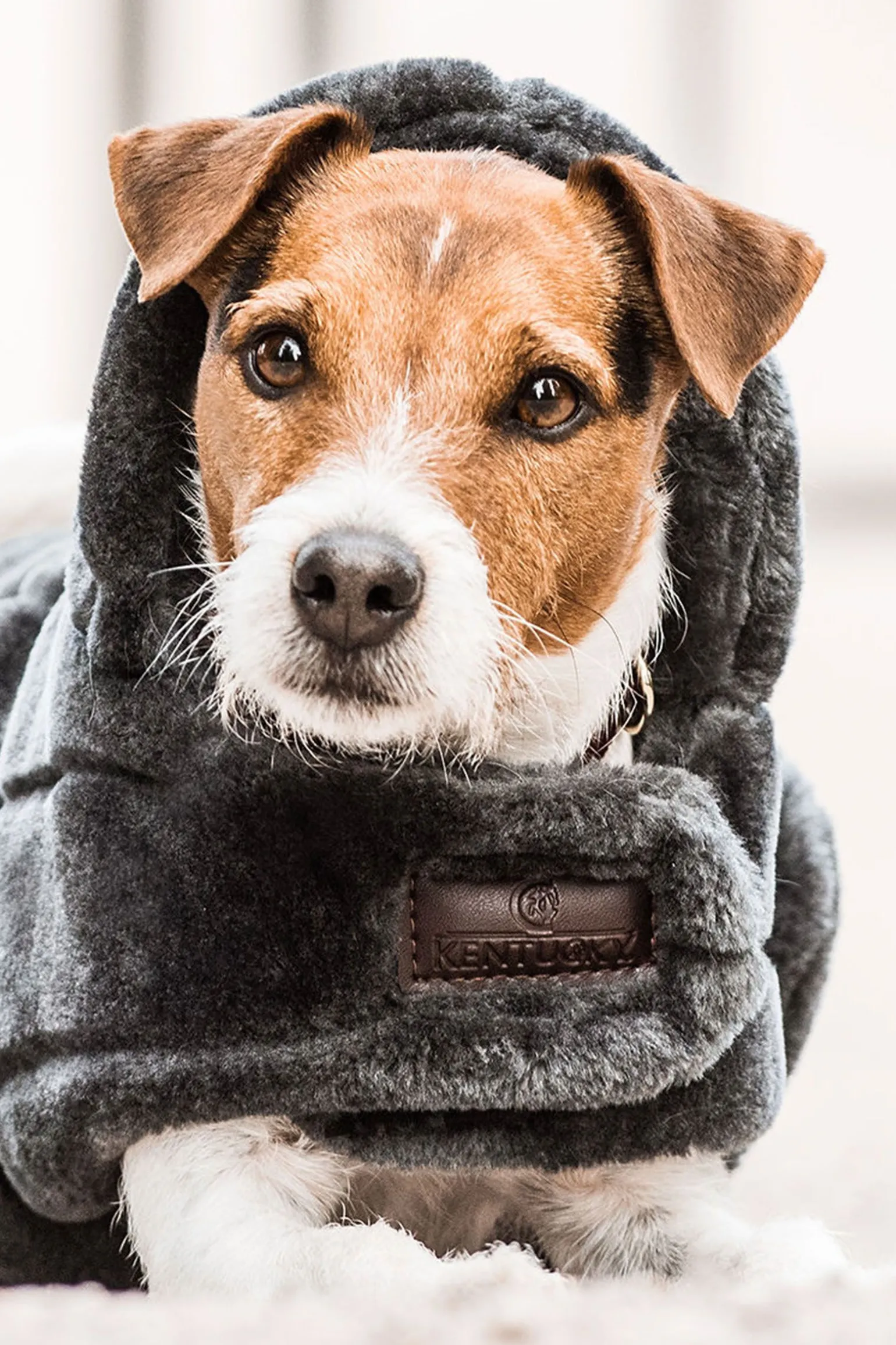 Kentucky Dogwear Fake Fur hundedekken