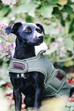 Kentucky Dogwear vanntett hundedekken