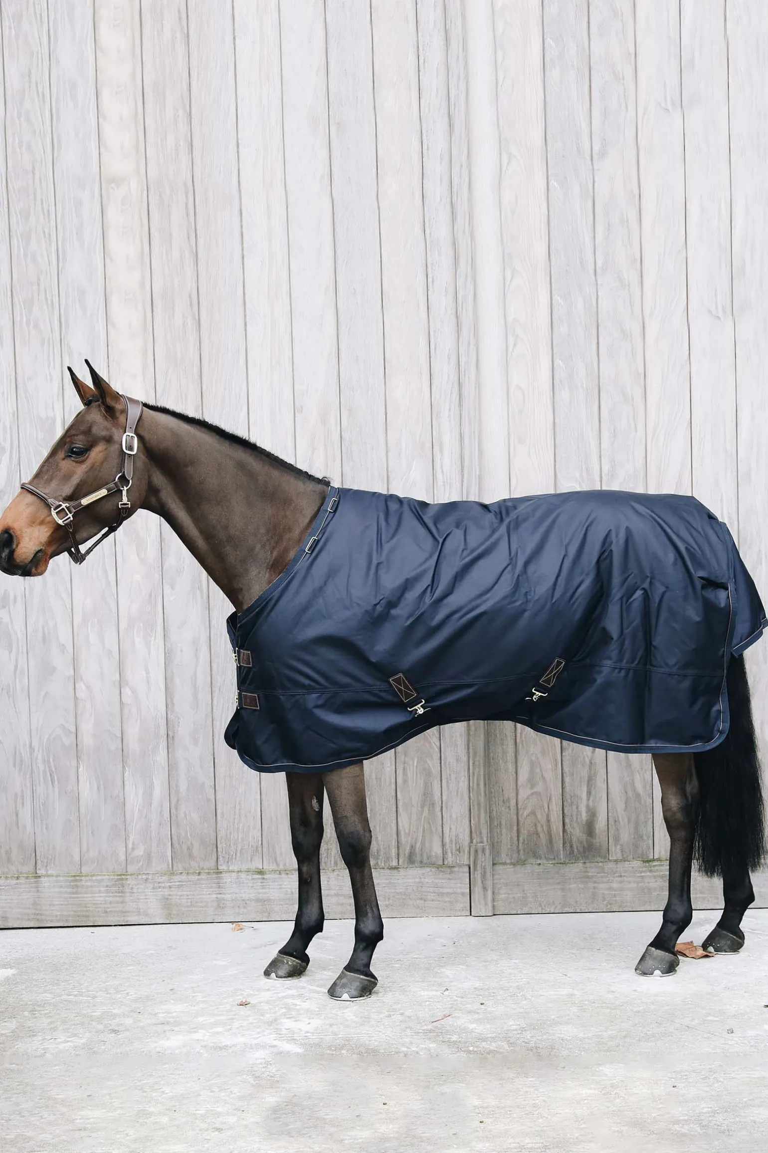 Kentucky Horsewear All Weather Waterproof Pro utedekken, 0 gram