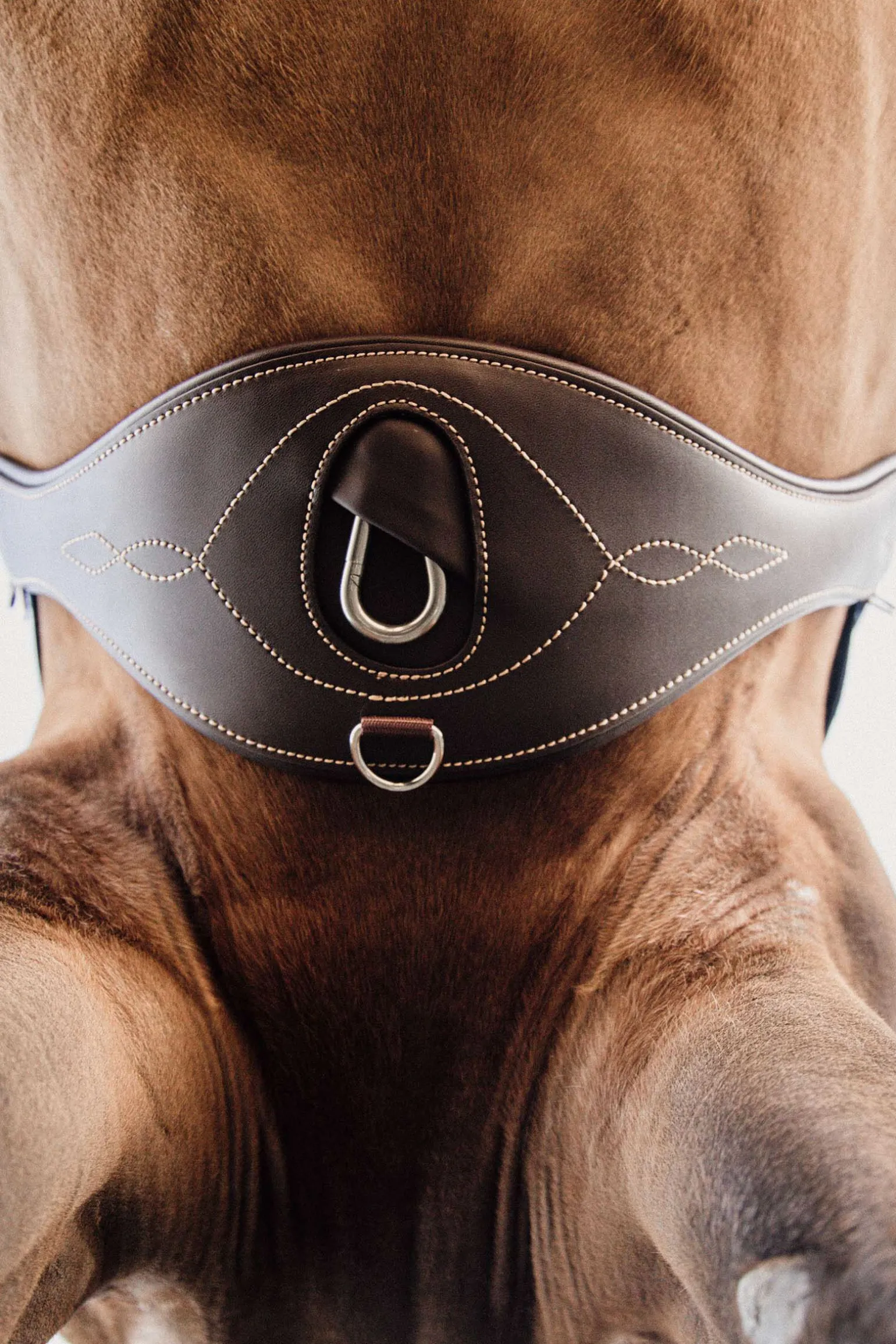 Kentucky Horsewear anatomisk gjord