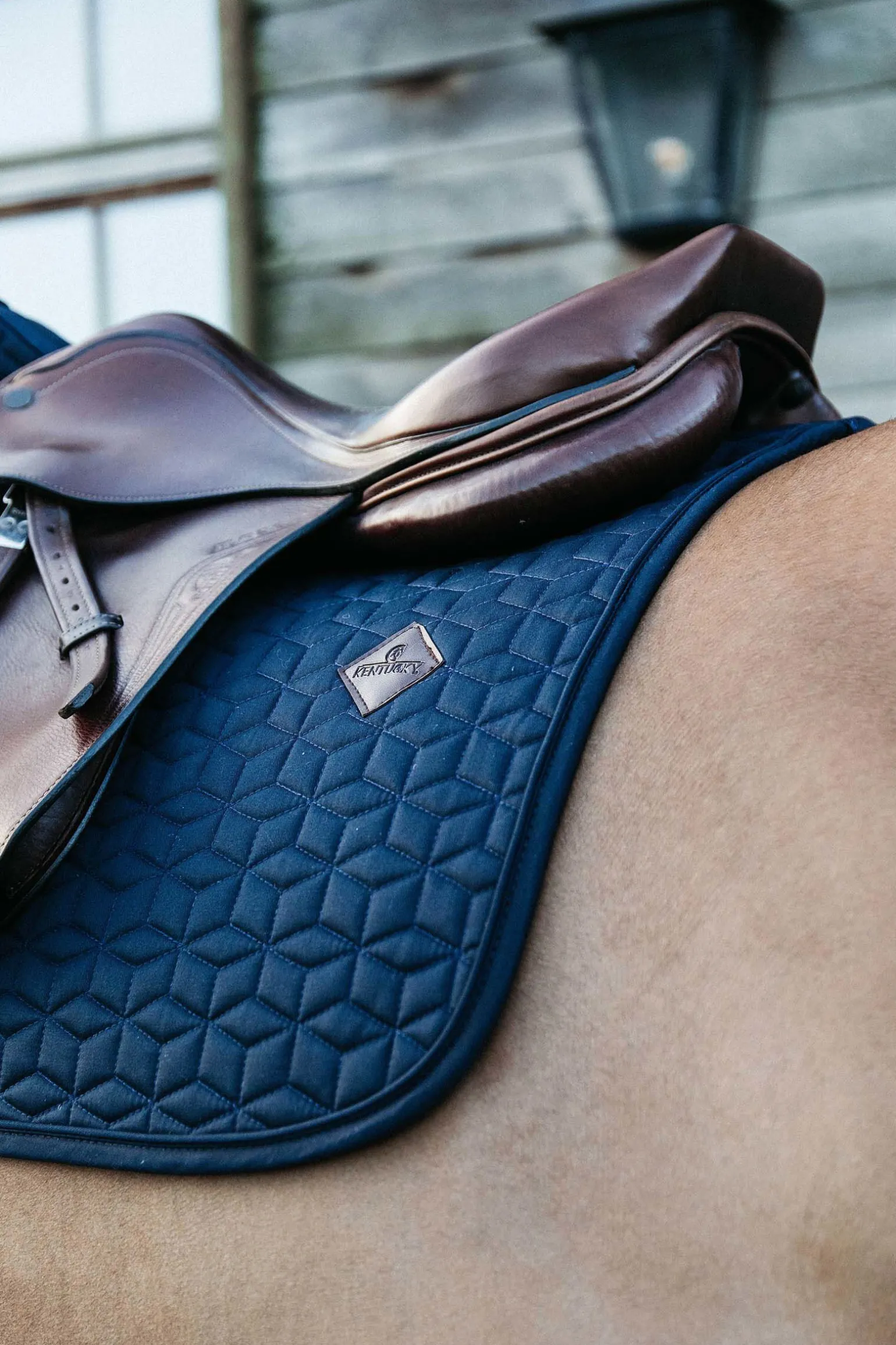 Kentucky Horsewear Basic sprangsjabrak