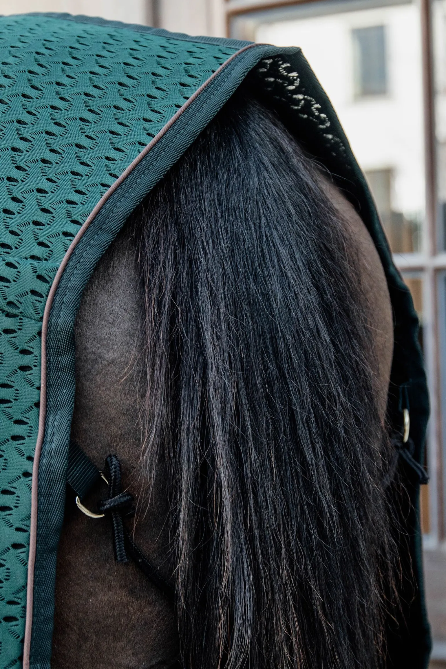 Kentucky Horsewear 4D Spacer cooler