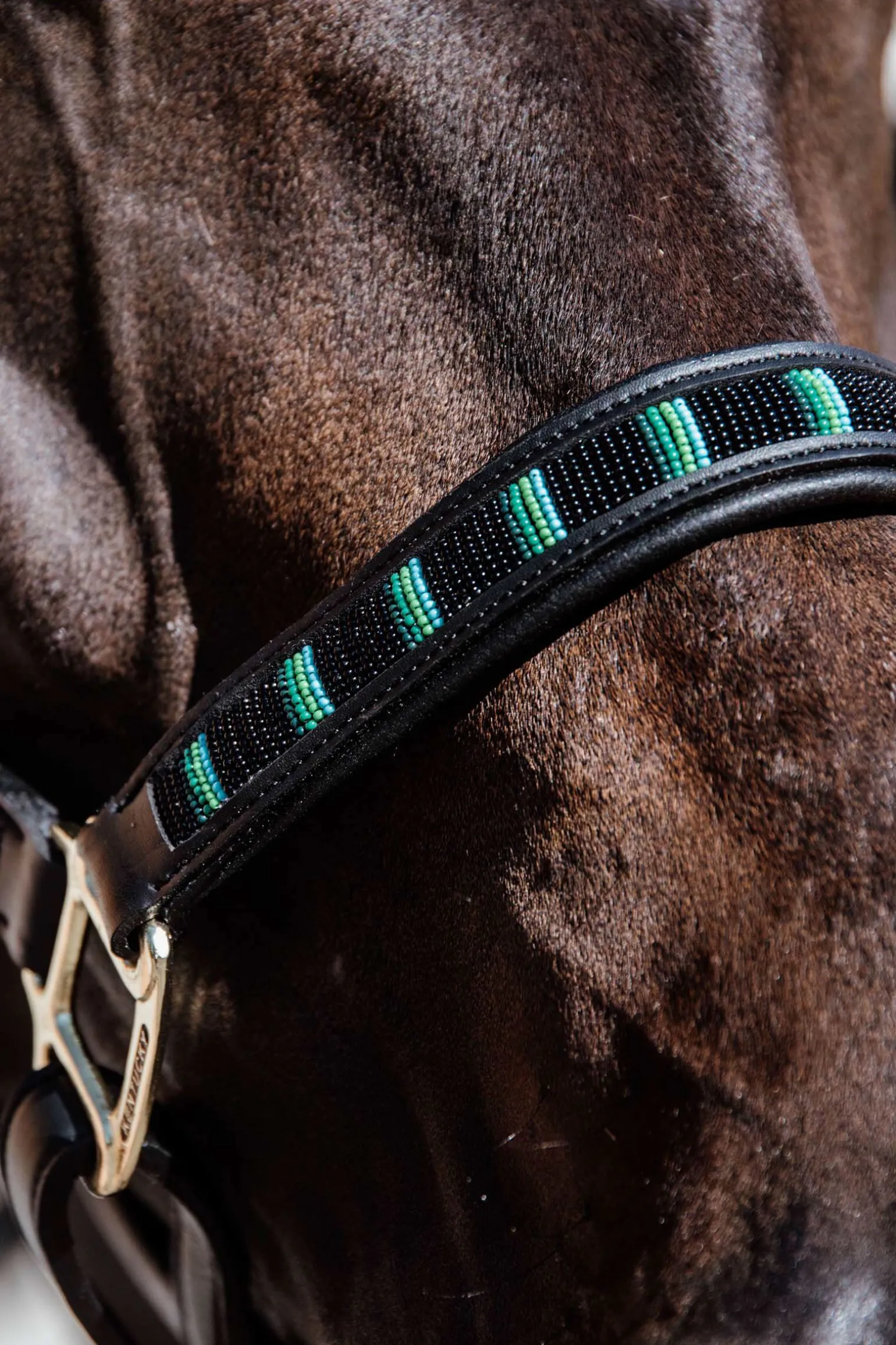 Kentucky Horsewear Pearls grime