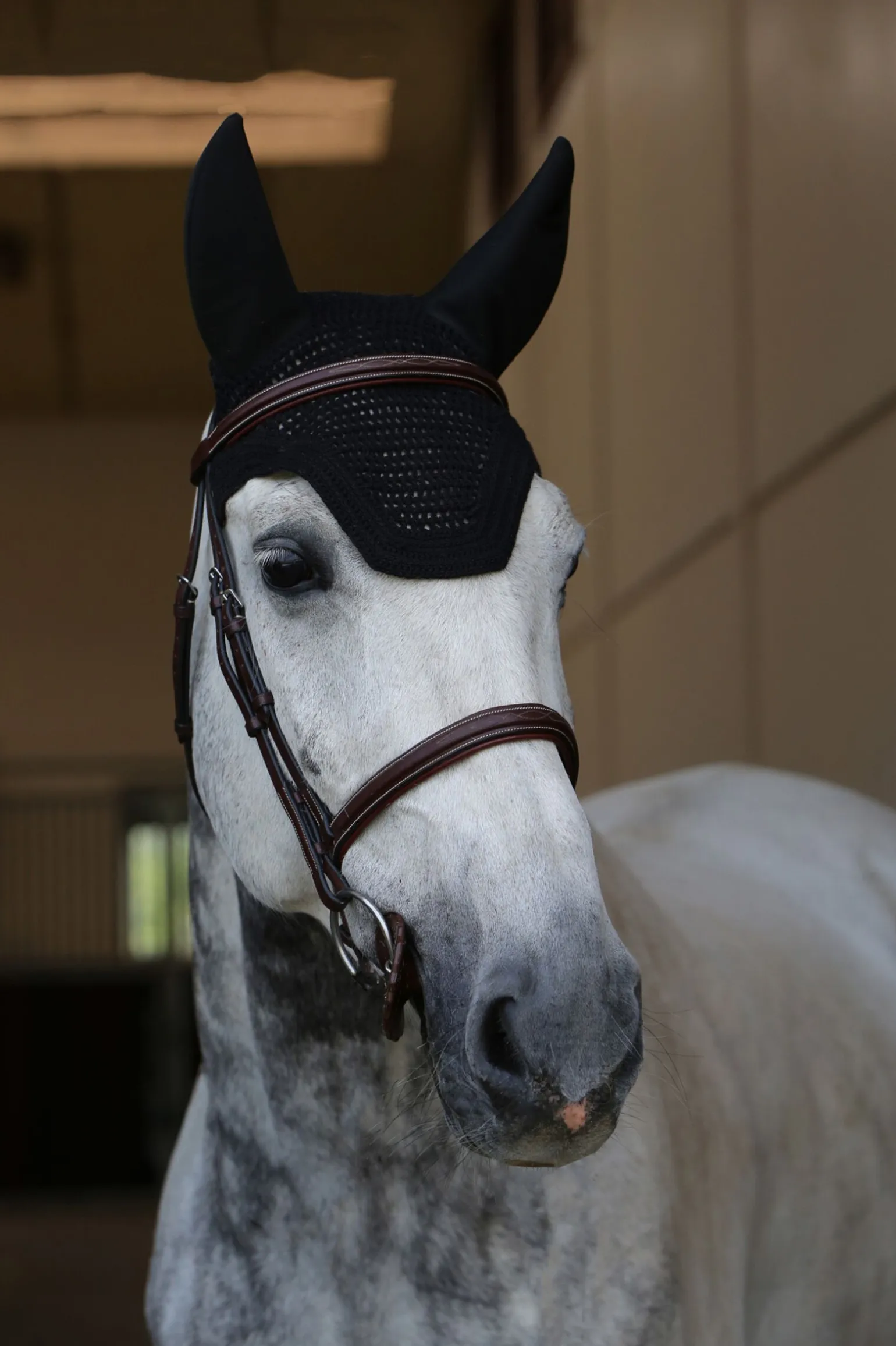 Kentucky Horsewear Wellington ørehette lydtett