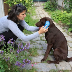 Kerbl Magic Brush, hund